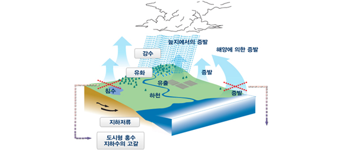 도시화에 의한 물 순환 생태 변화